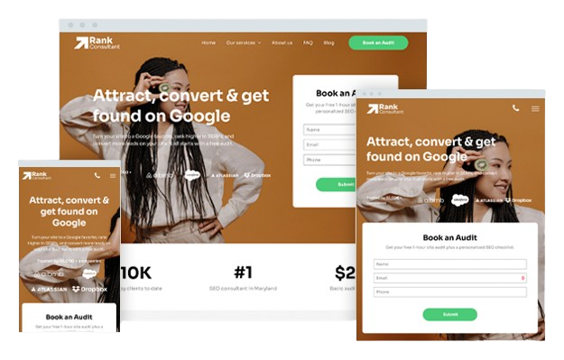 SEO Consultant websites