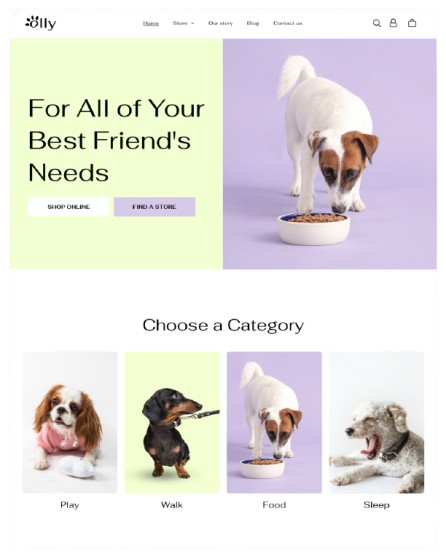 dog store websites