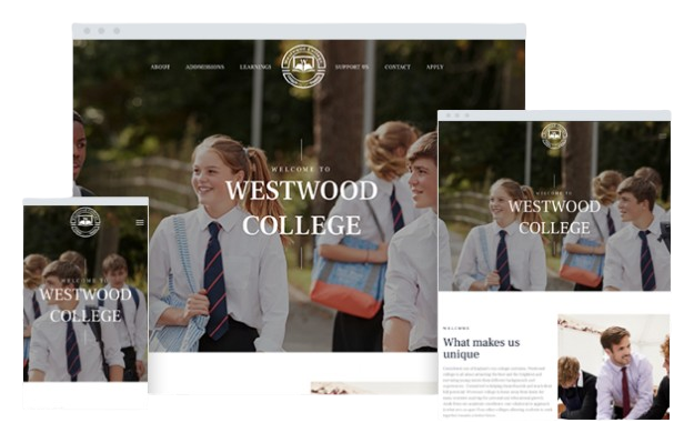 School websites