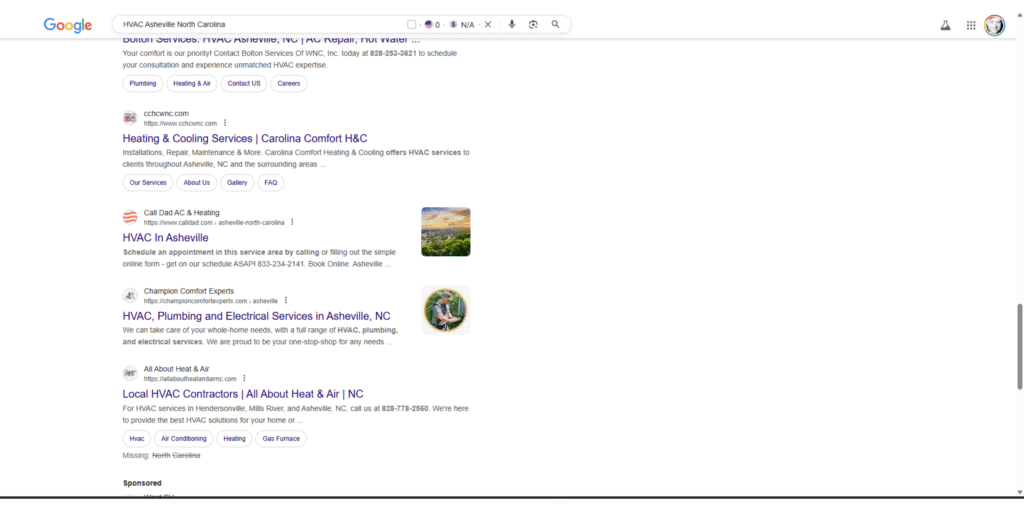 Organic Search results