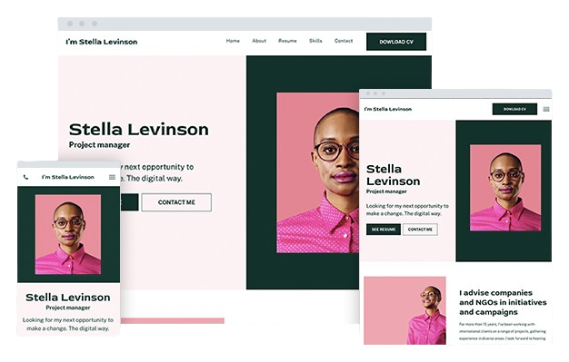 professional cv websites